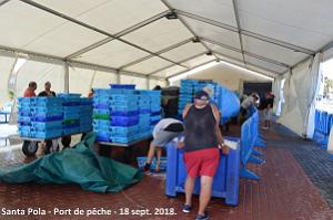 11 SANTA POLA PORT DE PECHE (47)